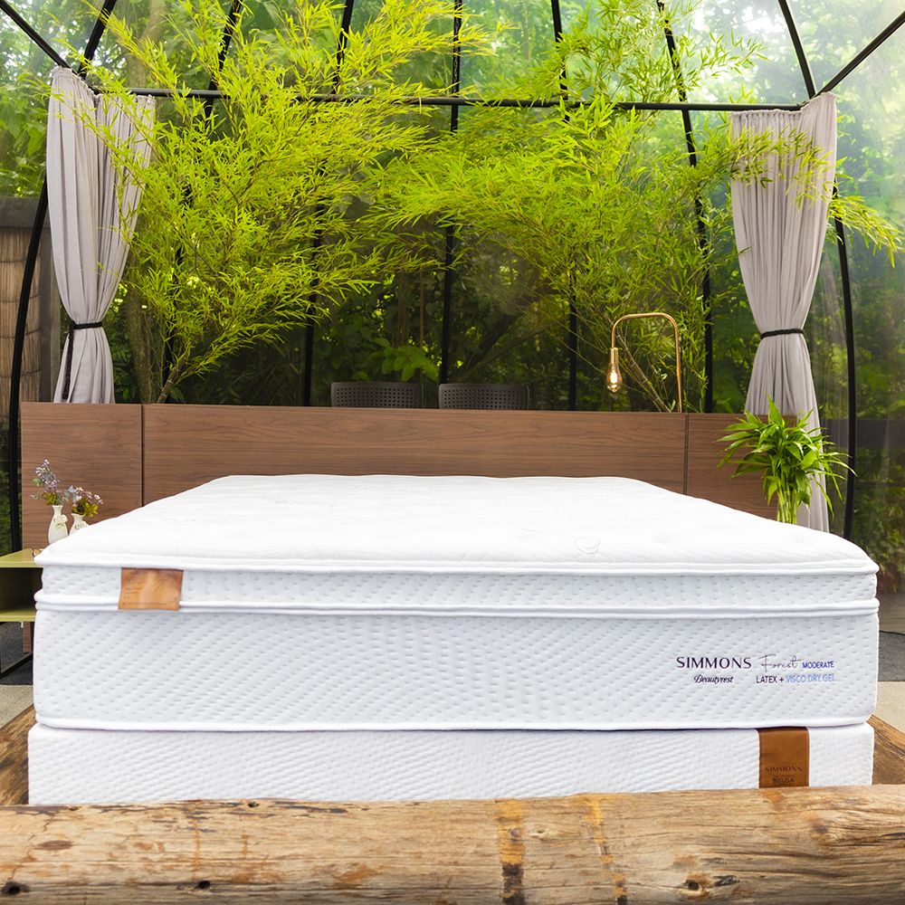 Cama Box + Colchão Simmons Bamboo Forest Moderate